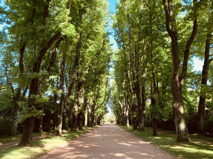 Jardim de Serralves