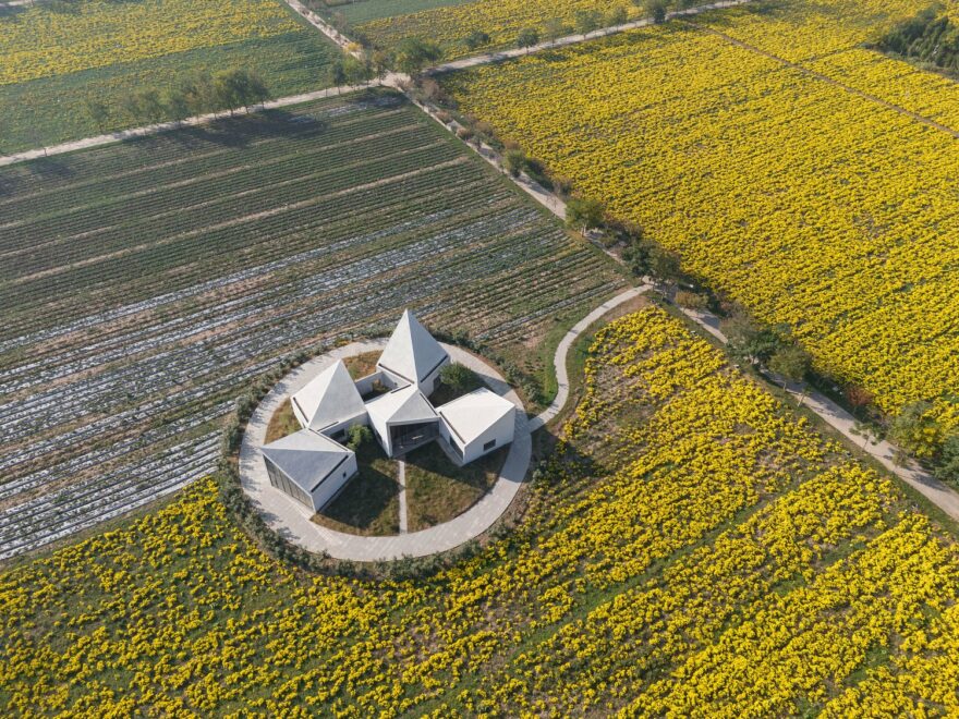 Biblioteca no Campo de Crisântemos